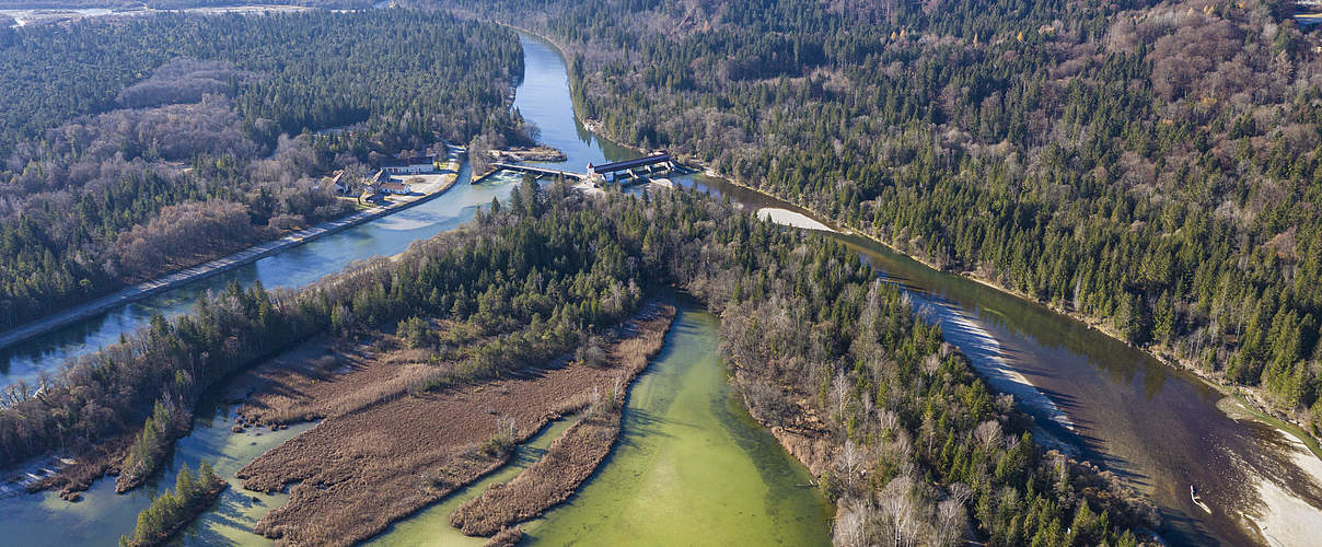 Isar | Fotoprojekt „verdammt.wild“ © Andreas Volz