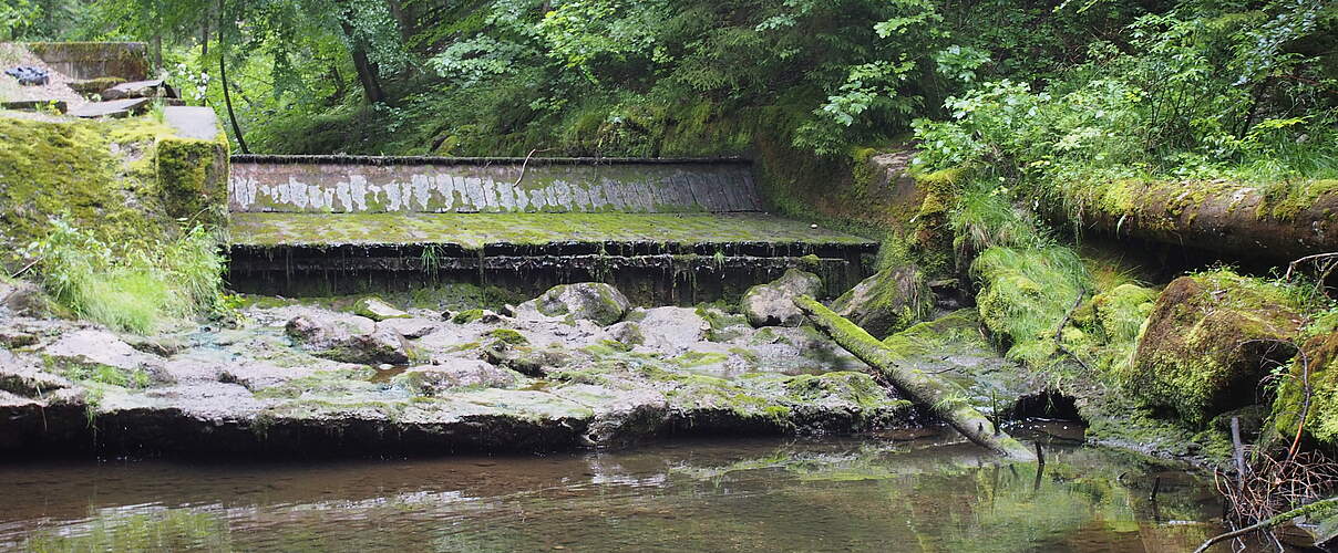 Das Wielenbach-Wehr vor dem Rückbau © Sigrun Lange / WWF