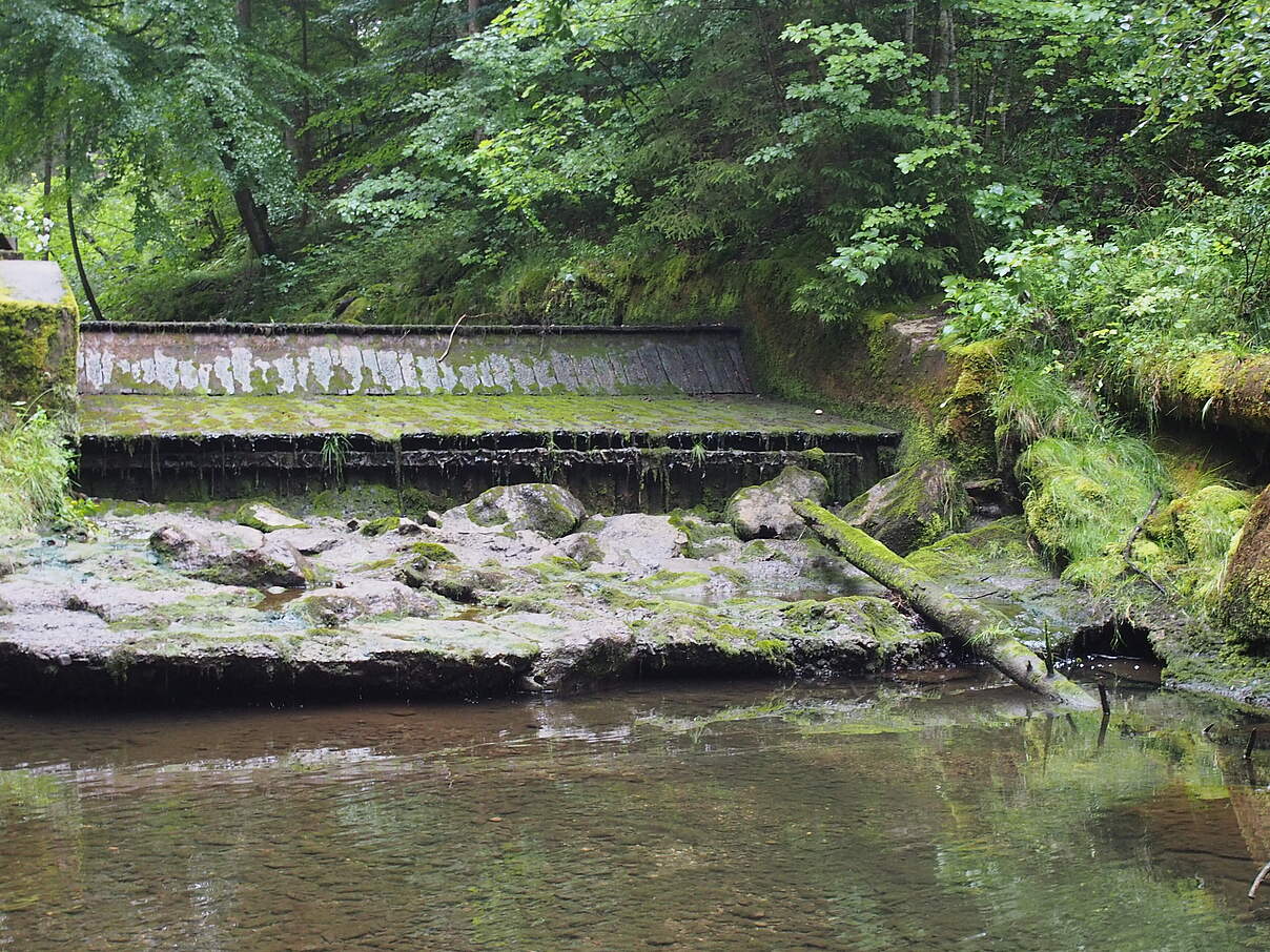 Das Wielenbach-Wehr vor dem Rückbau © Sigrun Lange / WWF