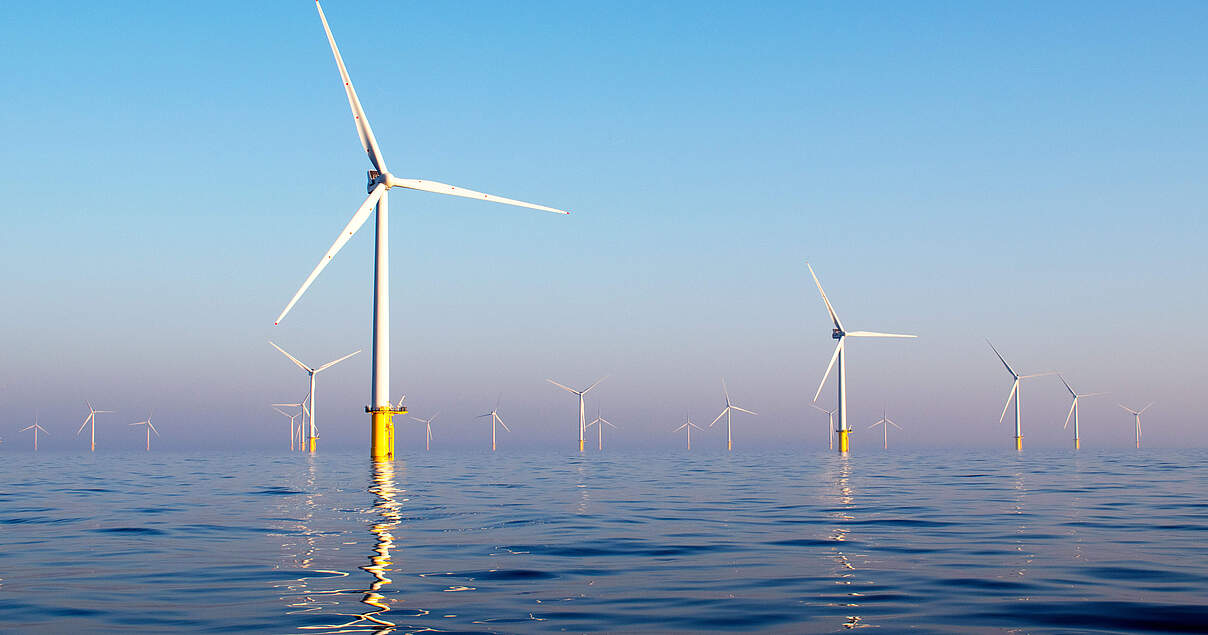 www.wwf.de