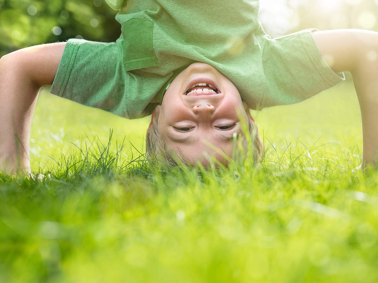 Rasen ist ein toller Spielplatz © Brian A. Jackson / iStock / GettyImages