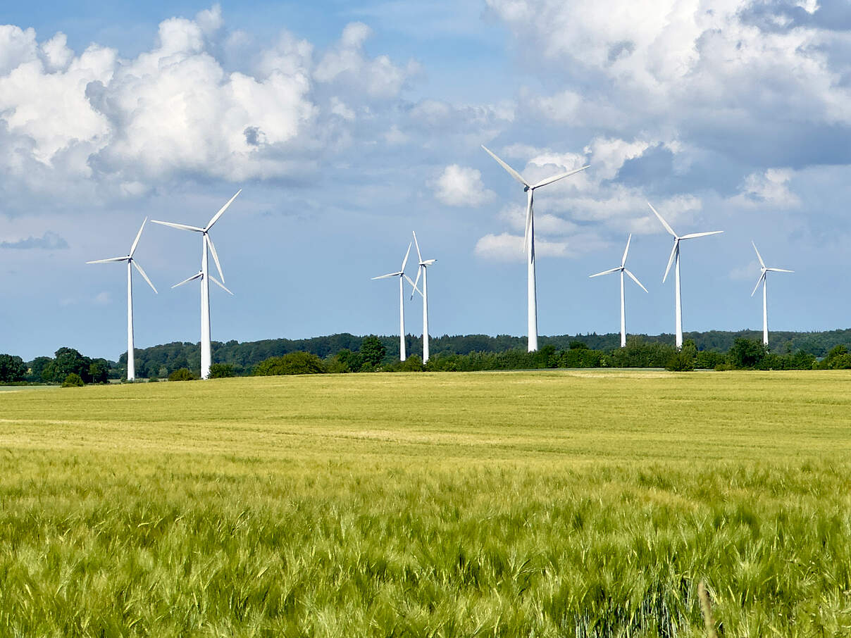 Windkrafträder im Hintergrund, im Vordergrund ein Feld, blauer Himmel und weisse Wolken