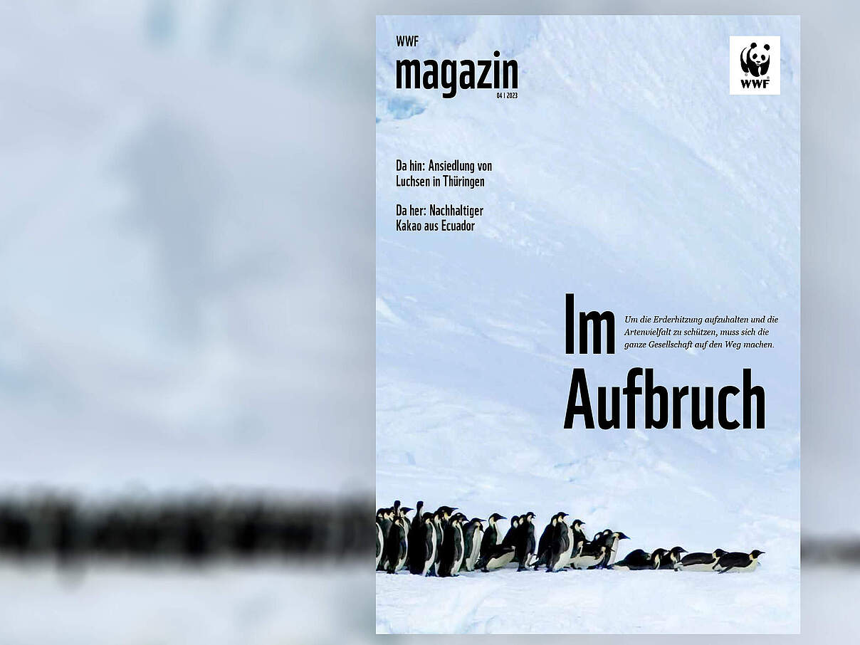 WWF Magazin 04/2023 © S. Bloom / mauritius images