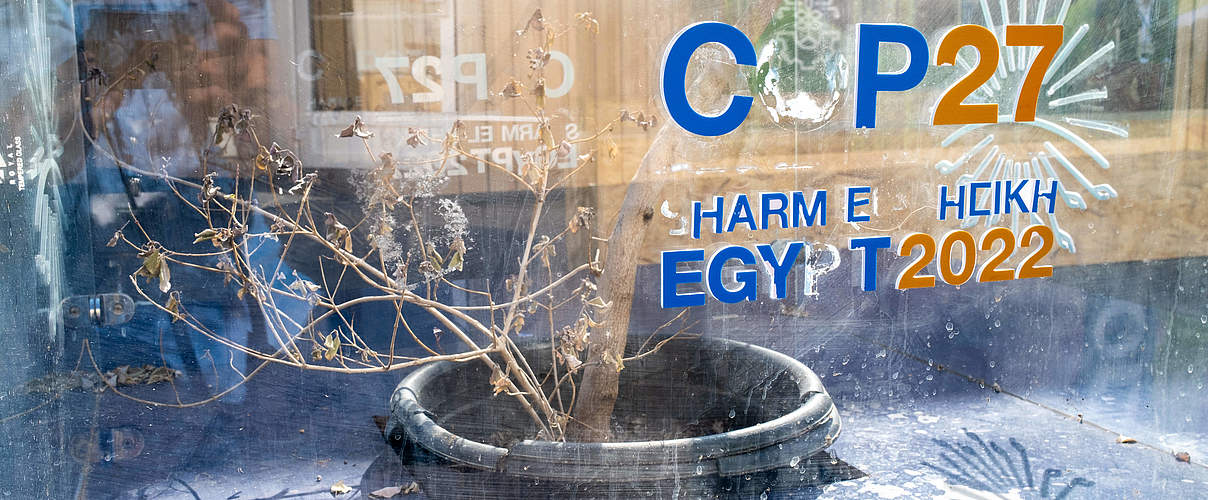 Die COP27 fand im Jahr 2022 in Ägypten mit schwachen Ergebnissen statt © imago / Achille Abboud