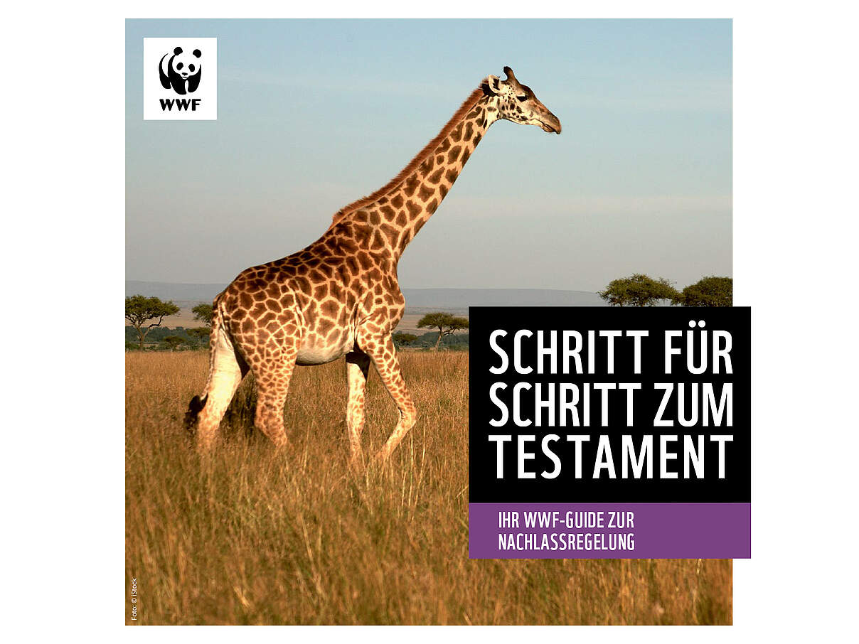 Cover des WWF Guide zur Nachlassregelung 