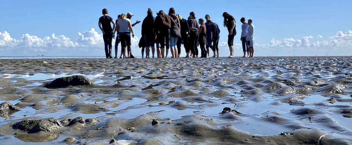 Wattabenteuer © Wattwanderzentrum Ostfriesland