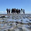 Wattabenteuer © Wattwanderzentrum Ostfriesland