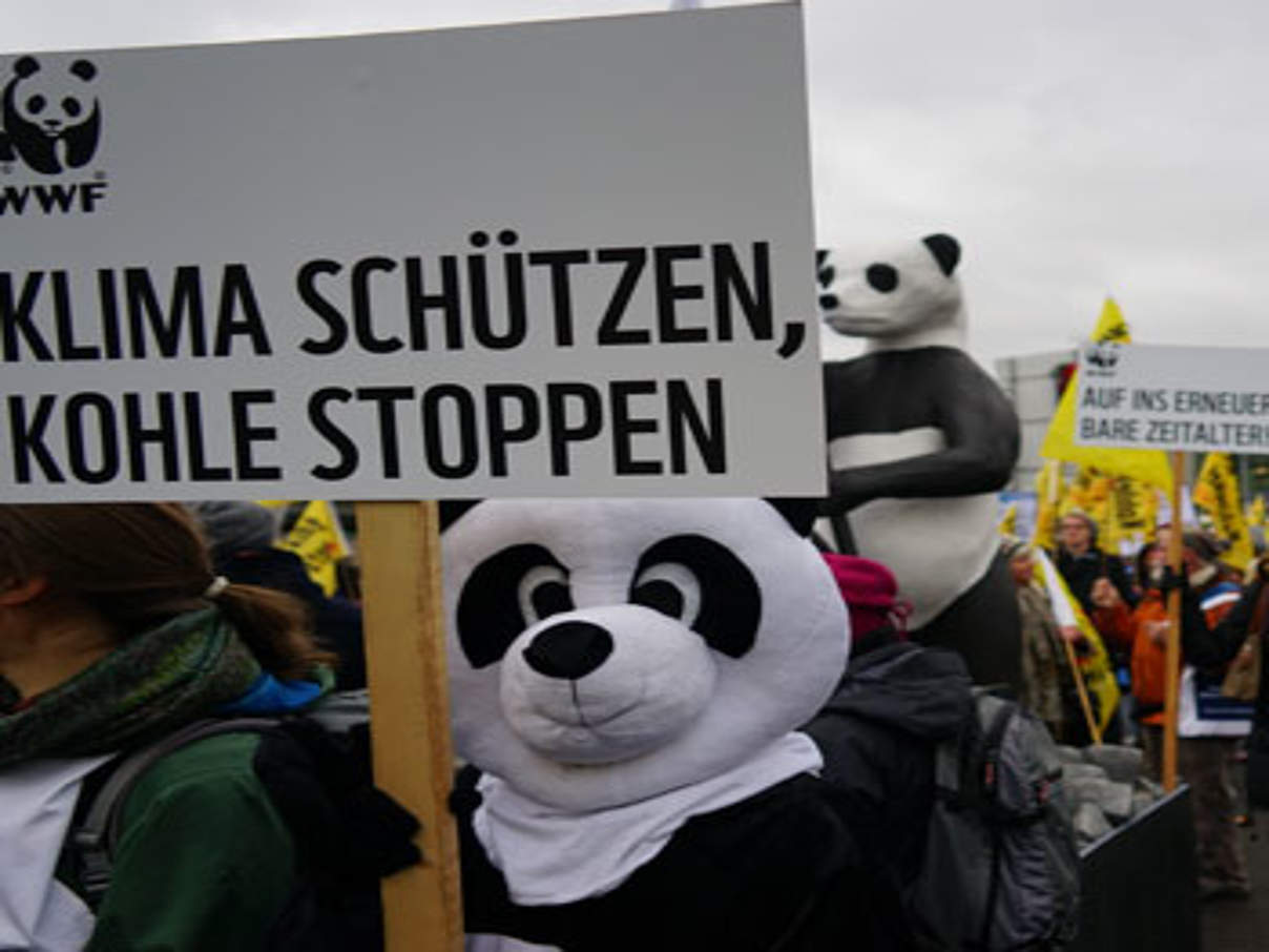 350 globalclimatemarch panda c wwf Der WWF beim Global Climate March in Berlin © WWF
