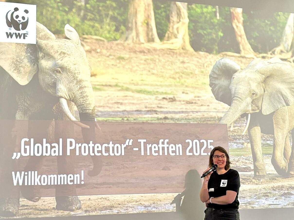 Start des „Global Protector“-Treffens 2025: Claudia Bierhoff begrüßt die Teilnehmenden im unter.Bau des Museums am Schölerberg. 