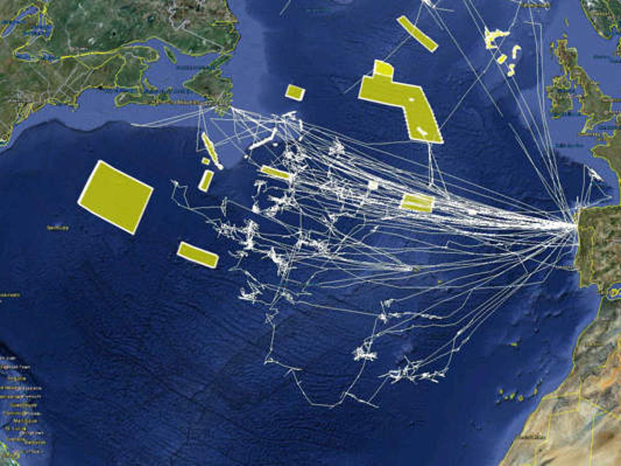 Geschlossene Gebiete im Nord-Atlantik und exemplarisch 6 Hochsee-Fischerei-Boote © Google Earth