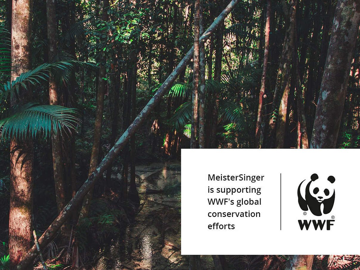 MeisterSinger WWF Badge © MeisterSinger MeisterSinger WWF Badge © MeisterSinger