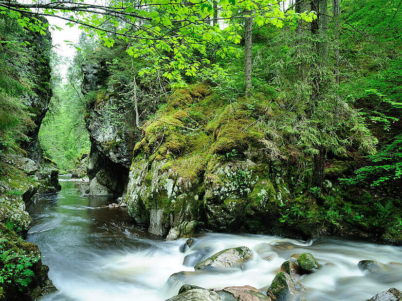 Wutach © Martin Schwenninger Wutach © Martin Schwenninger