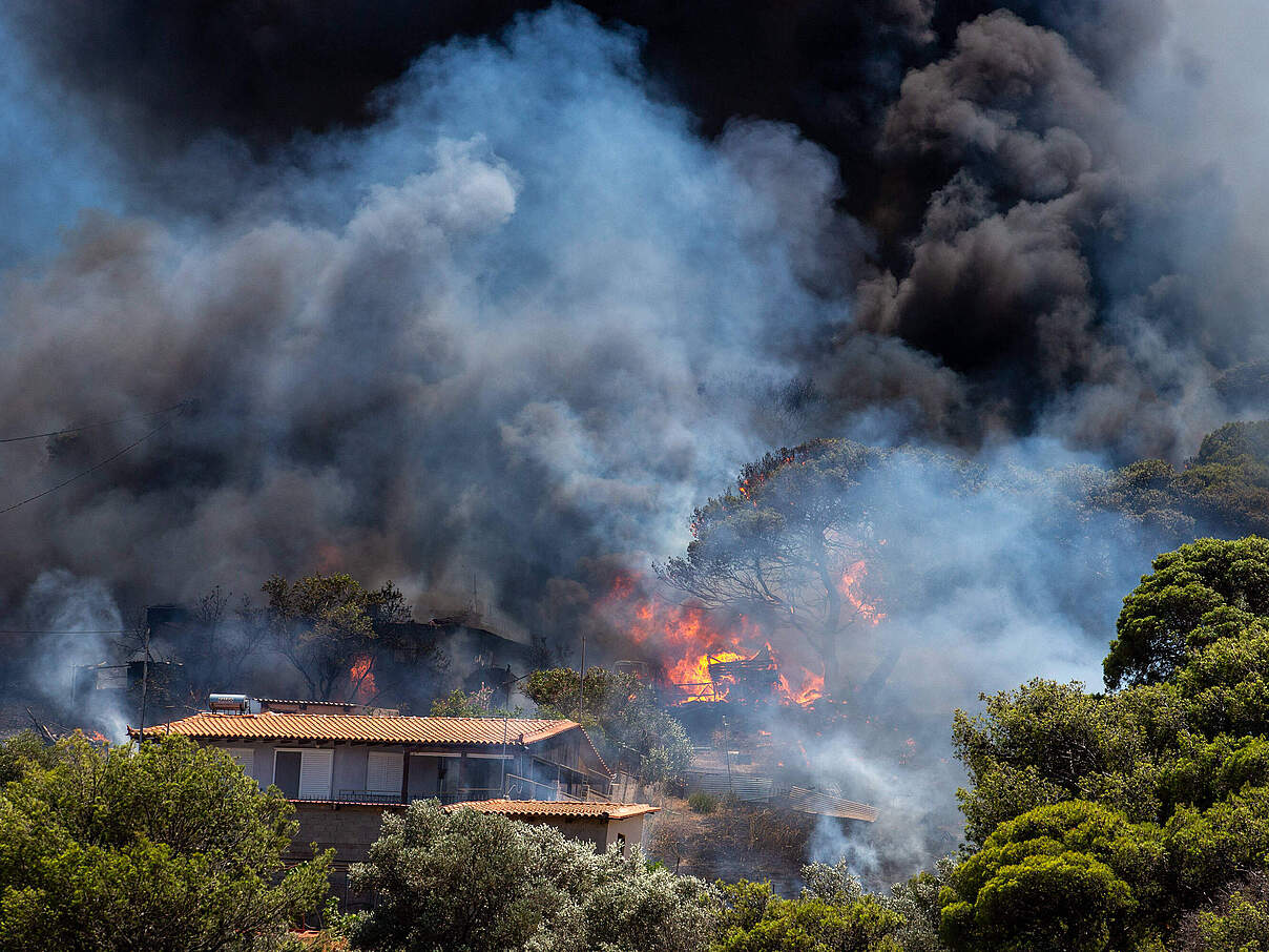 Dichte Rauchwolken schwärzen den Himmel bei einem Waldbrand in Athen. Im Vordergrund befinden sich Häuser nahe des Brandes.