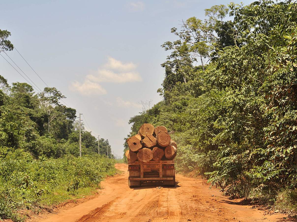 LKW transportiert illegal geschlagenes Holz aus dem Amazonas-Regenwald, Mato Grosso, Brasilien. © imago stock&people