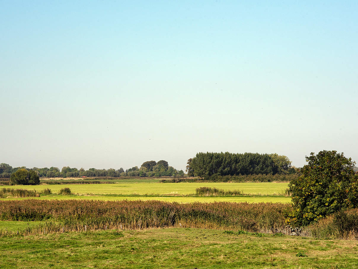 Landschaftsbild Asselersand © Claudi Nir / WWF Deutschland