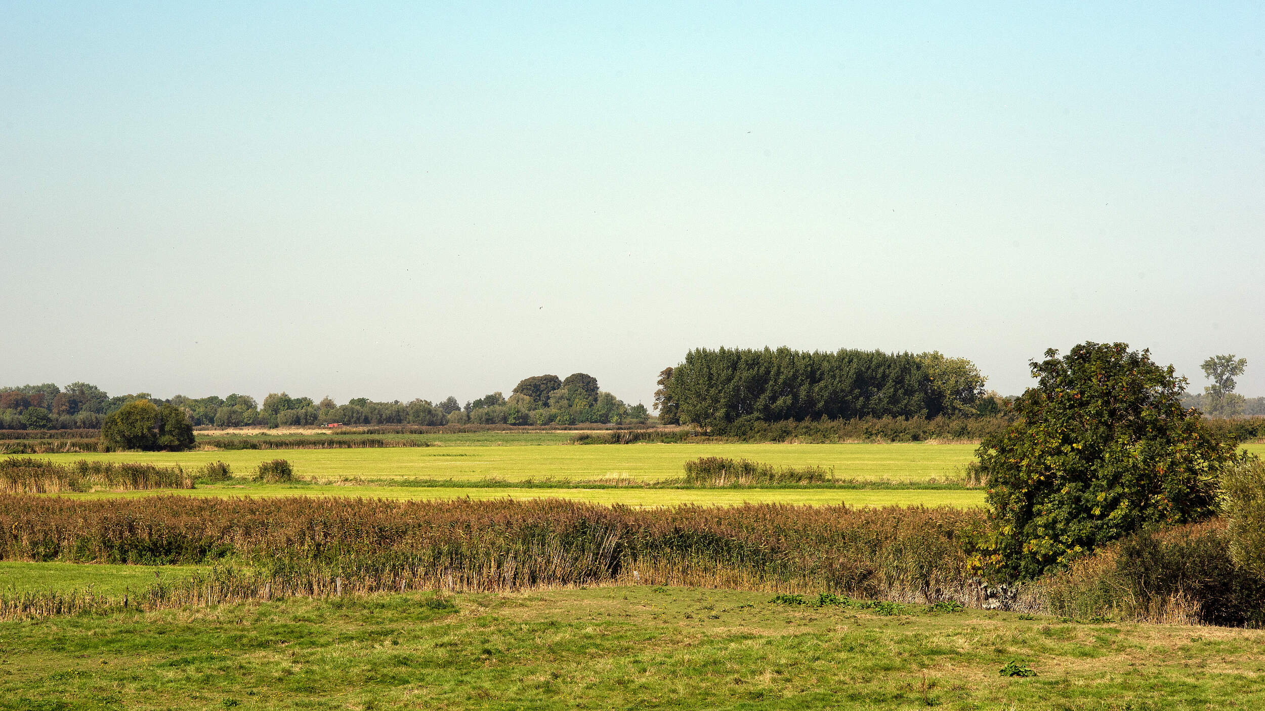 Landschaftsbild Asselersand © Claudi Nir / WWF Deutschland