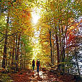 Wanderung im Herbstwald © Anselm Baumgart / iStock GettyImages