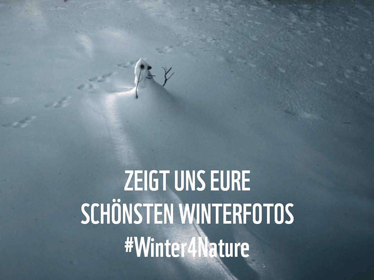 #winter4nature © unsplash / Adam Neumann
