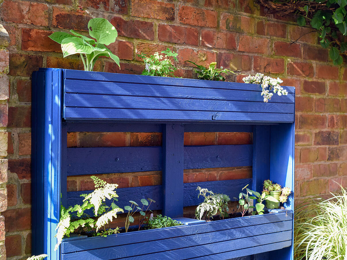 Selbst gebautes Hochbeet