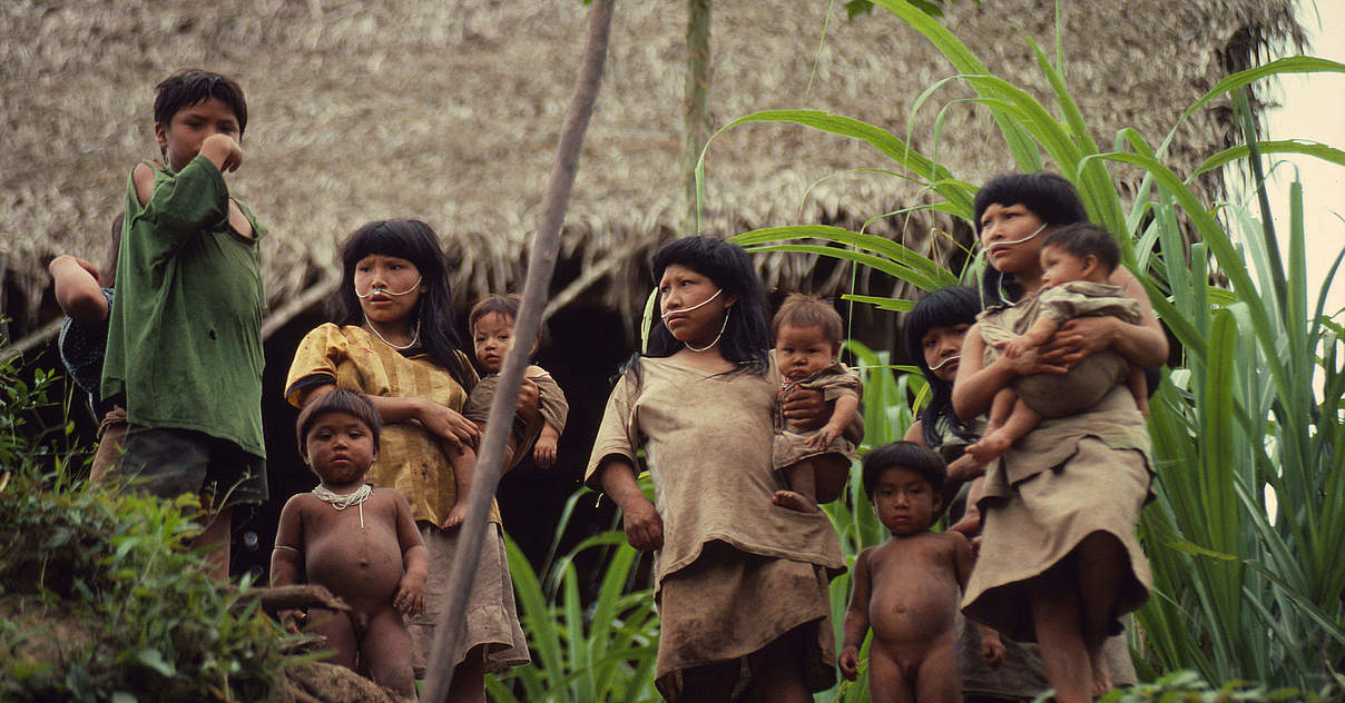 Arbeit mit Indigenen Eine Übersicht WWF
