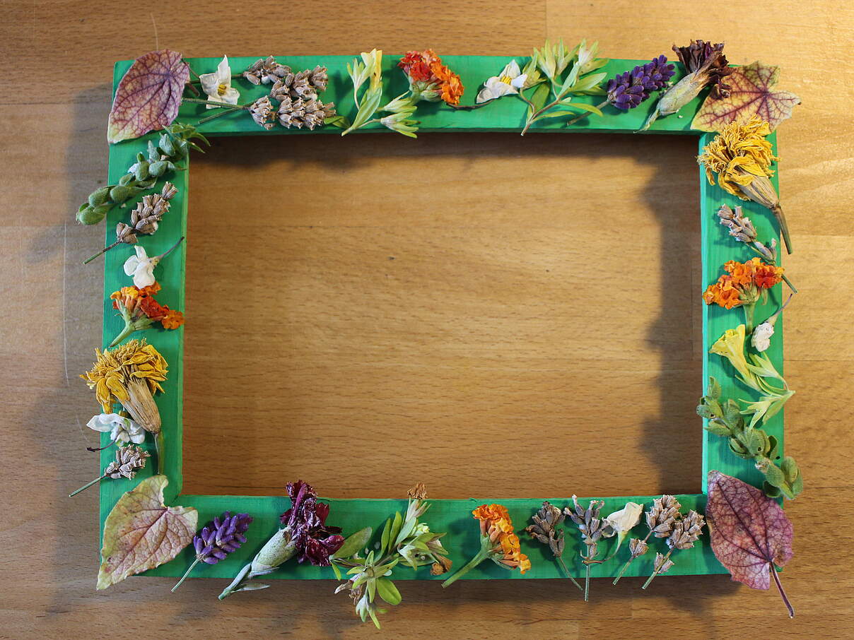 Urwald-Bilderrahmen basteln