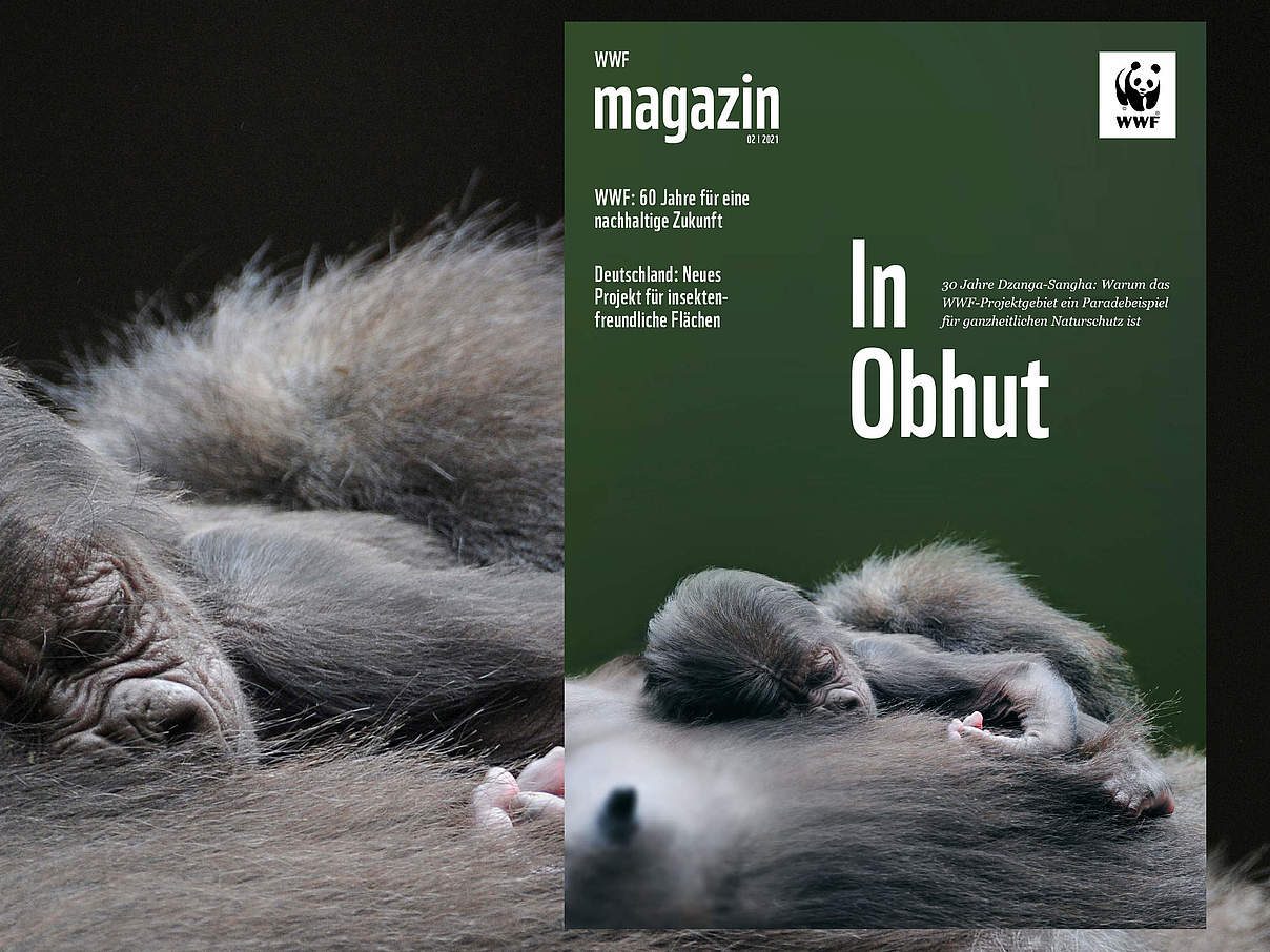 Header des WWF Magazin 02/2021 © F. Sommariva/OKAPIA/imageBROKER