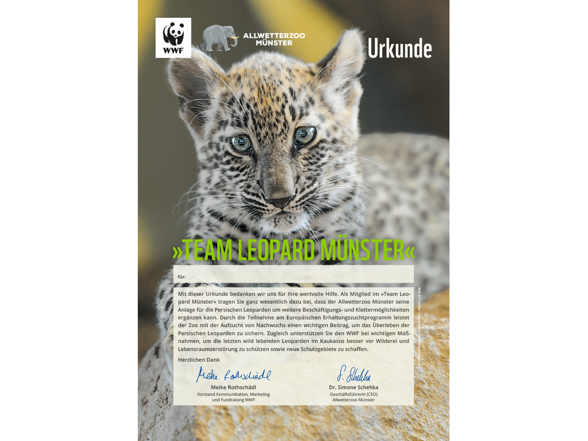 "Team Leopard Münster"-Urkunde © WWF