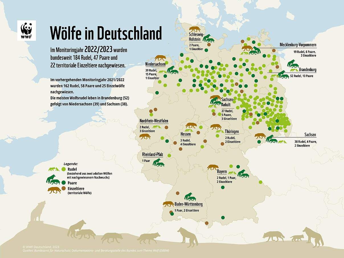 Wölfe in Deutschland © WWF