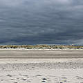 Wanderung am Wattenmeer © Karoline Goethe