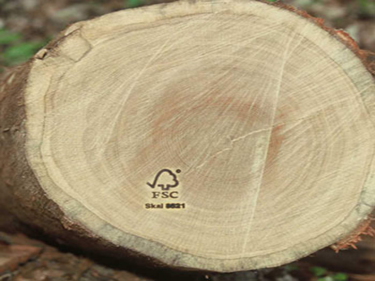 FSC Logo auf Holzstamm © K. Becker / WWF