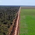 Eine Straße trennt Regenwald von einem Sojafeld im Cerrado, Brasilien © Adriano Gambarini / WWF-Brazil