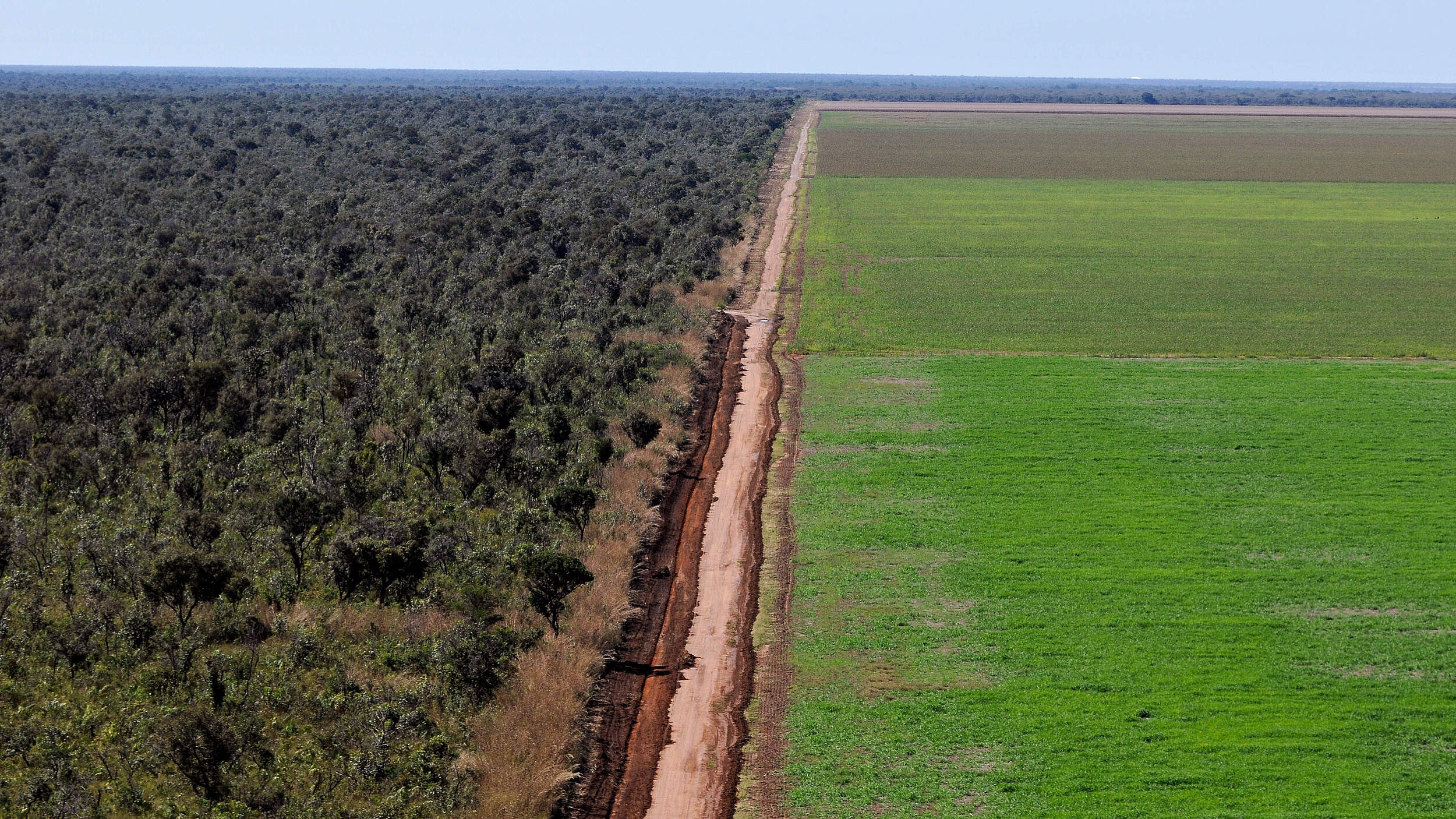 Eine Straße trennt Regenwald von einem Sojafeld im Cerrado, Brasilien © Adriano Gambarini / WWF-Brazil