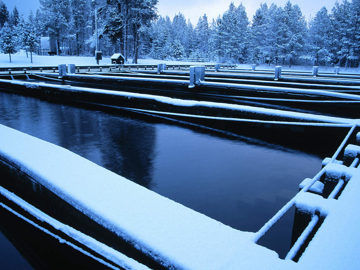 Hälterungsanlage für Fische © IMAGO / agefotostock