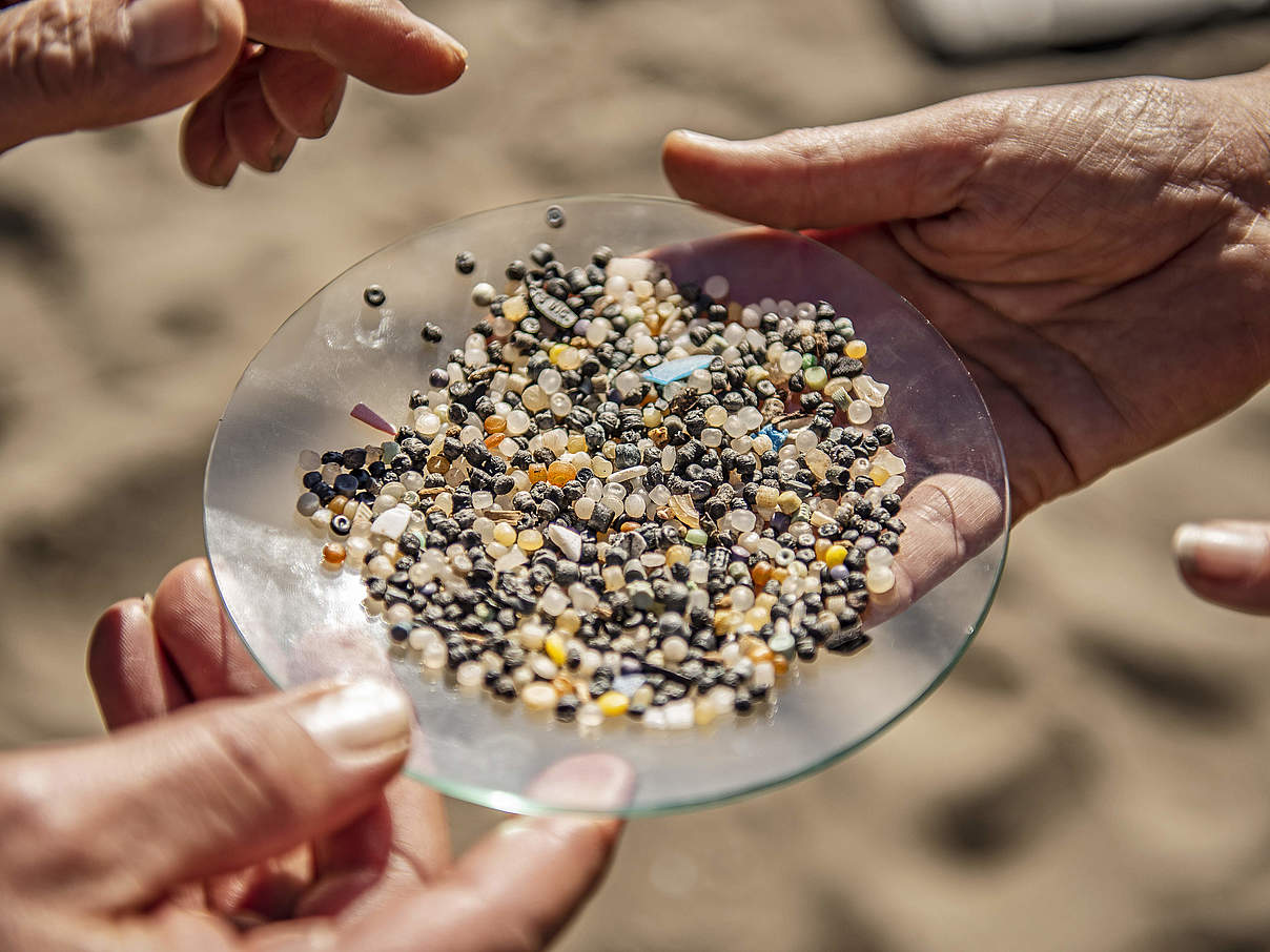 Mikroplastik am Strand von Cornwall © Sam Hobson / WWF UK