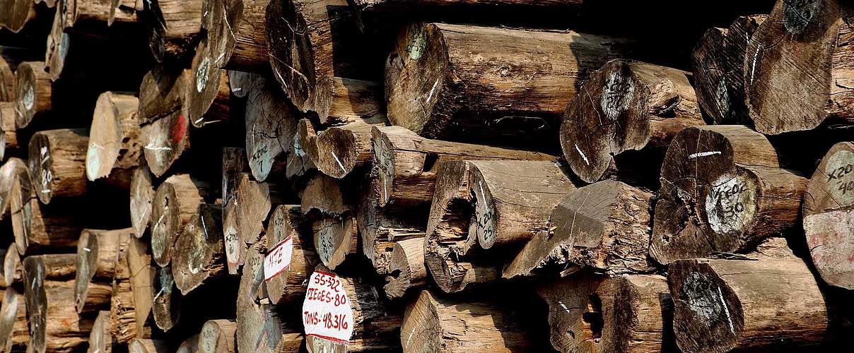 Geschlagenes Teak Holz in Myanmar © imago / xinhua