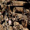 Geschlagenes Teak Holz in Myanmar © imago / xinhua