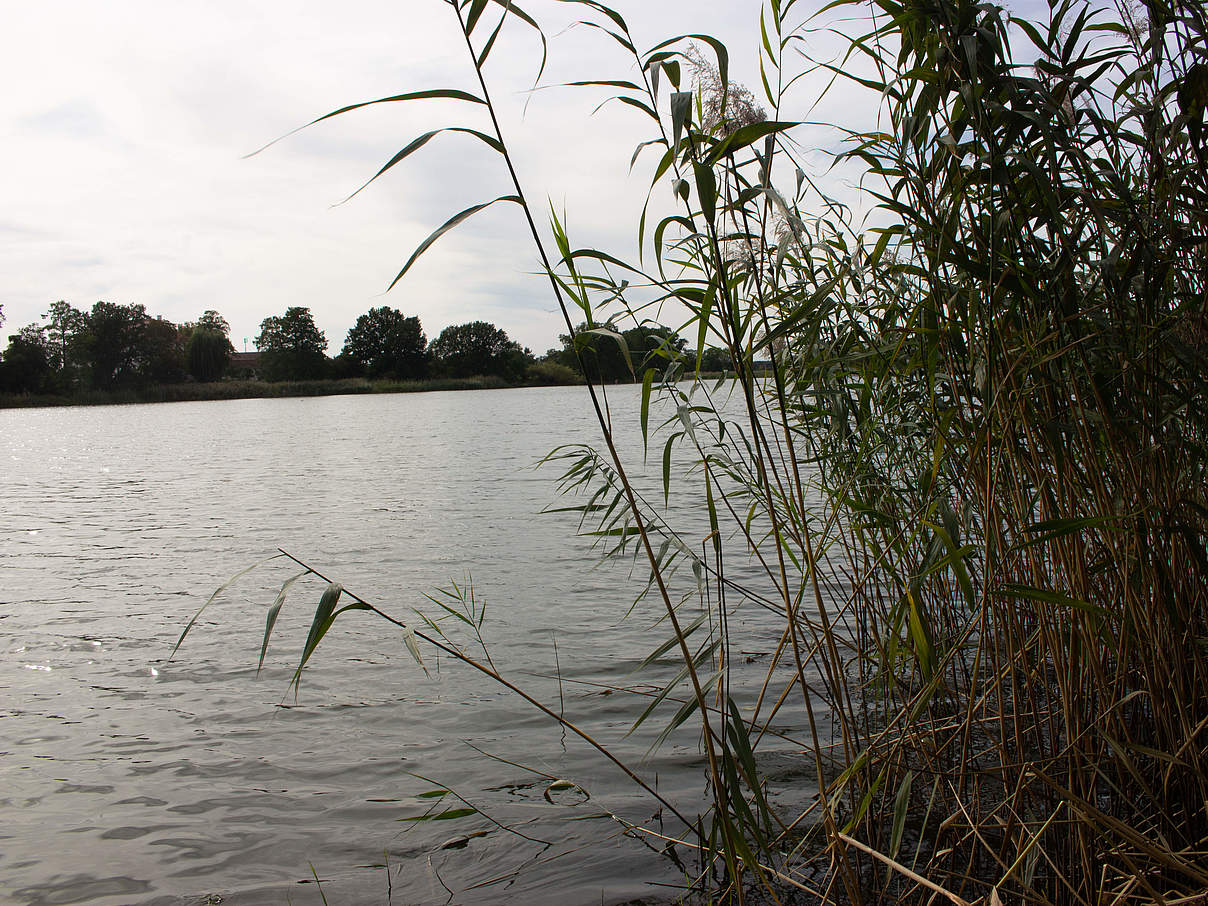 Wildnistour Mittlere Elbe © Julia Baer Wildnistour Mittlere Elbe © Julia Baer
