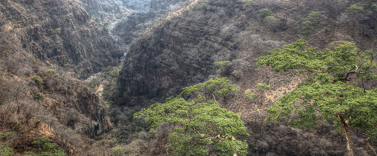 Chizaria Nationalpark in Simbabwe © Steve Adams iStock / Getty Images Plus