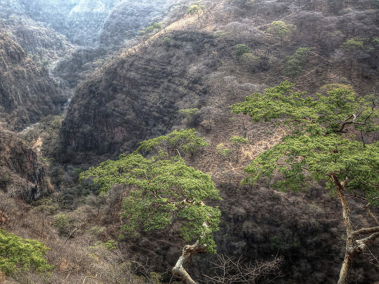 Chizaria Nationalpark in Simbabwe © Steve Adams iStock / Getty Images Plus