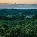 Regenwald am Amazonas © Luis Barreto / WWF-UK