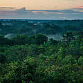 Regenwald am Amazonas © Luis Barreto / WWF-UK