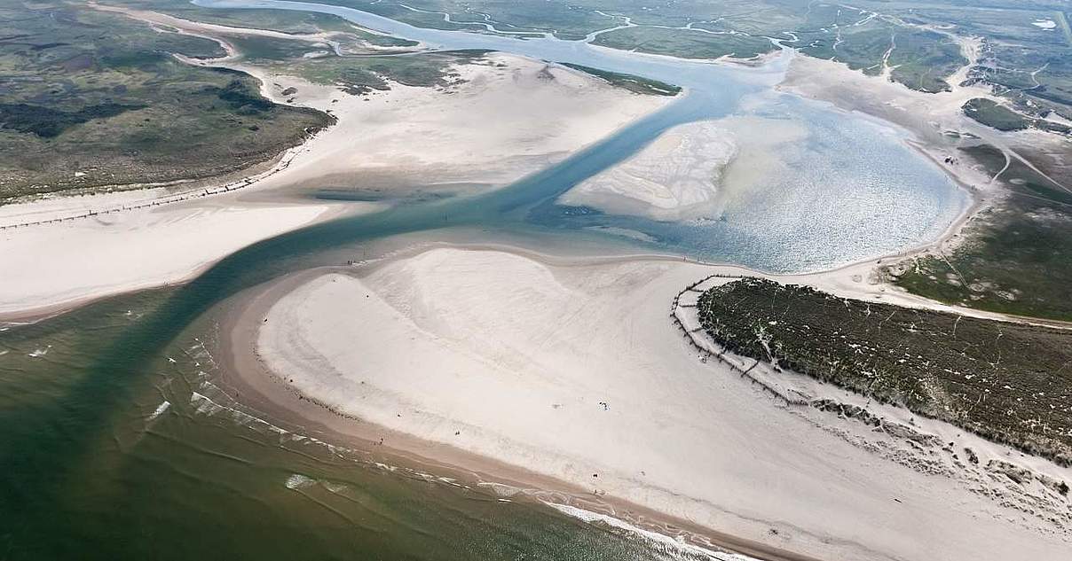 Das größte Wattenmeer der Welt | WWF