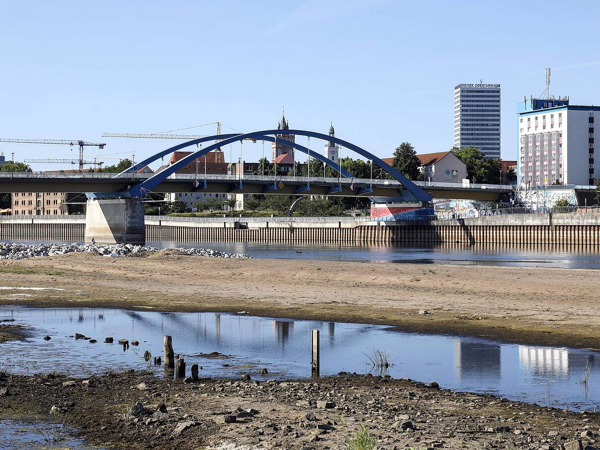 Niedrigwasser an der Oder bei Frankfurt: Blick vom polnischen Slubice auf die Stadt