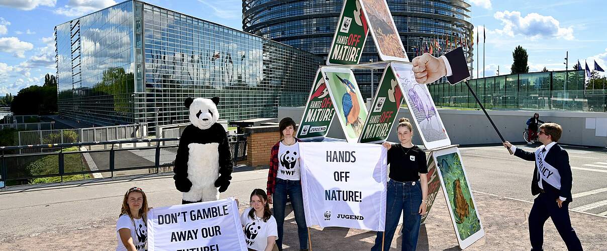 WWF Jugend: Kartenhaus-Stunt in Straßburg