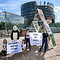 WWF Jugend: Kartenhaus-Stunt in Straßburg