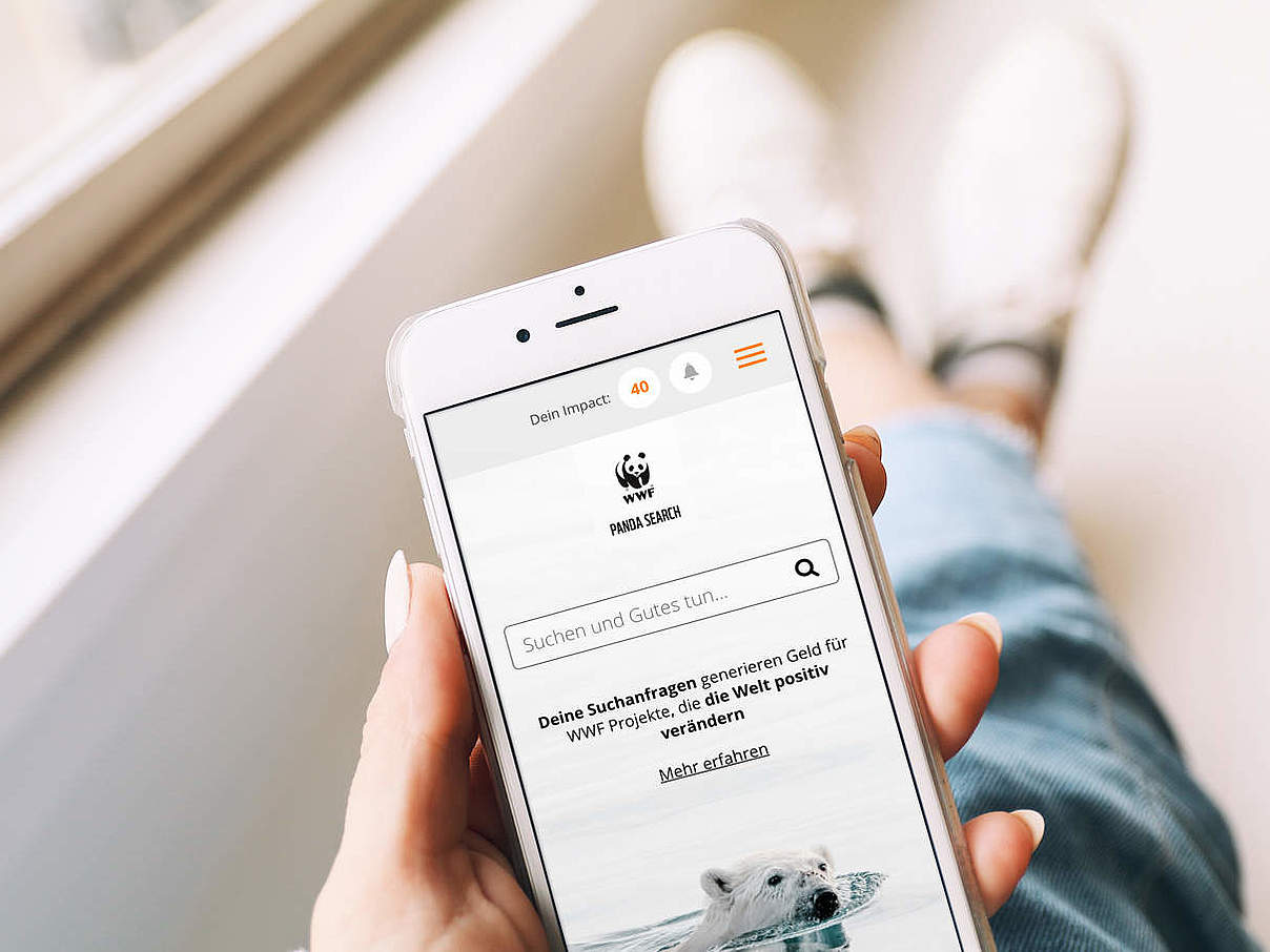 Panda Search - Suchen und Gutes tun Panda Search - Suchen und Gutes tun