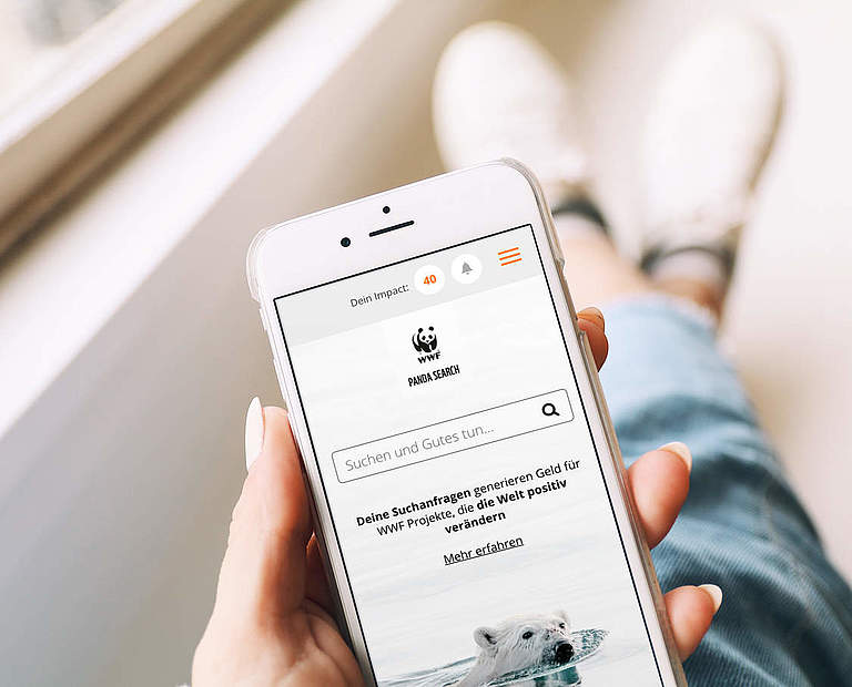 Panda Search - Suchen und Gutes tun