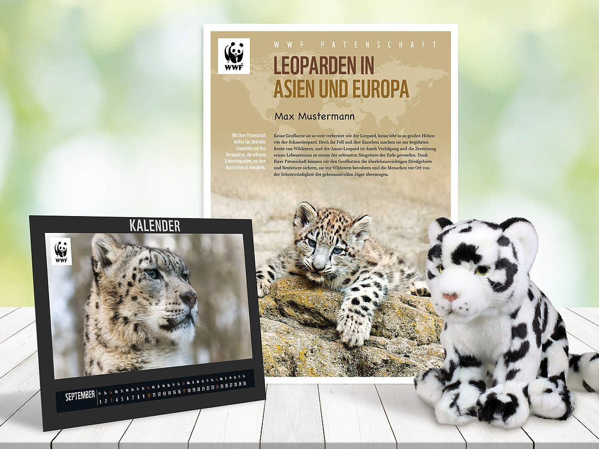 Begrüßungspaket Leoparden-Patenschaft © WWF