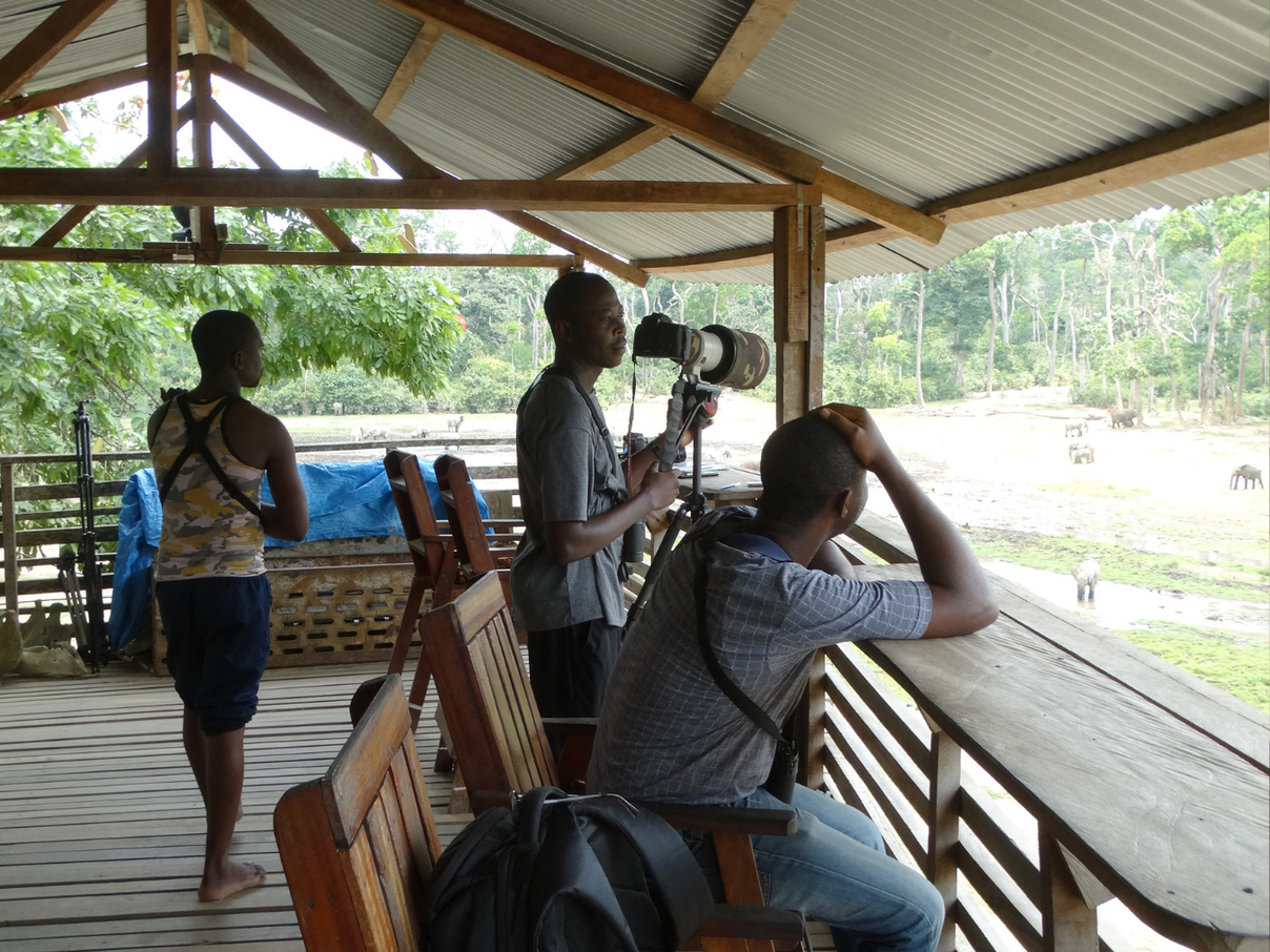 Das lokale Team auf der Beobachtungsplattform für die Waldelefanten.