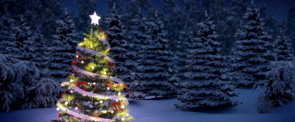 Weihnachtsbaum © ThinkstockPhotos